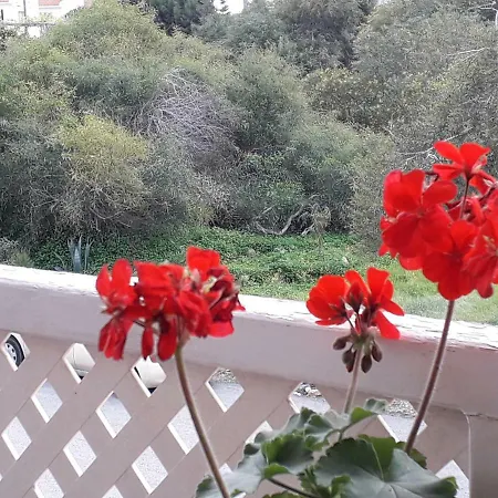 Protaras Happy Sunny Holidays Апартаменты