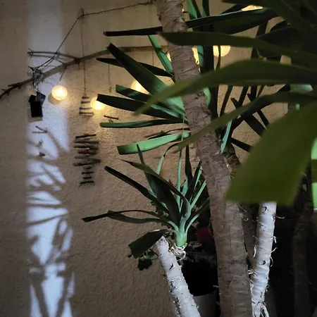 Protaras Happy Sunny Holidays Paralimni