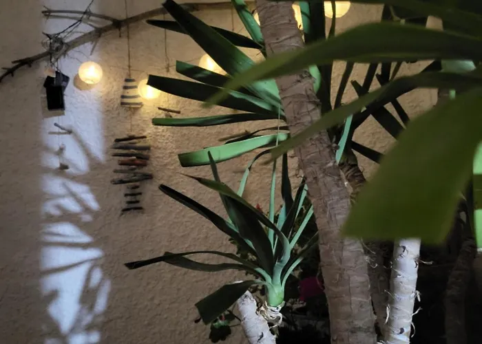 Protaras Happy Sunny Holidays パラリムニ