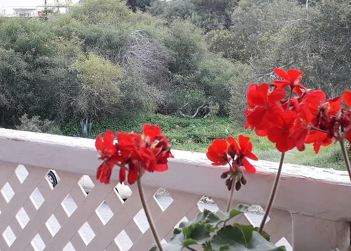 Protaras Happy Sunny Holidays Apartmán